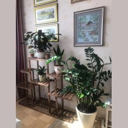 Plantereol - Gulvstand med 9 Platforme