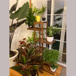 Plantereol - Gulvstand Sjle