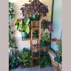 Plantereol - Gulvstand Sjle