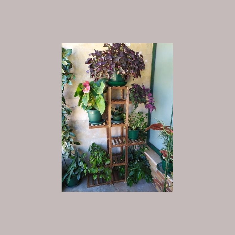 Plantereol - Gulvstand Sjle