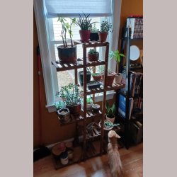 Plantereol - Gulvstand Sjle