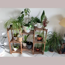 Plantereol - Dobbelt Gulvstand