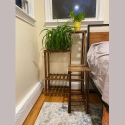 Plantereol - Hjrnestand